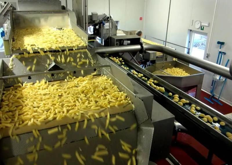 Calibrage des frites fraîches