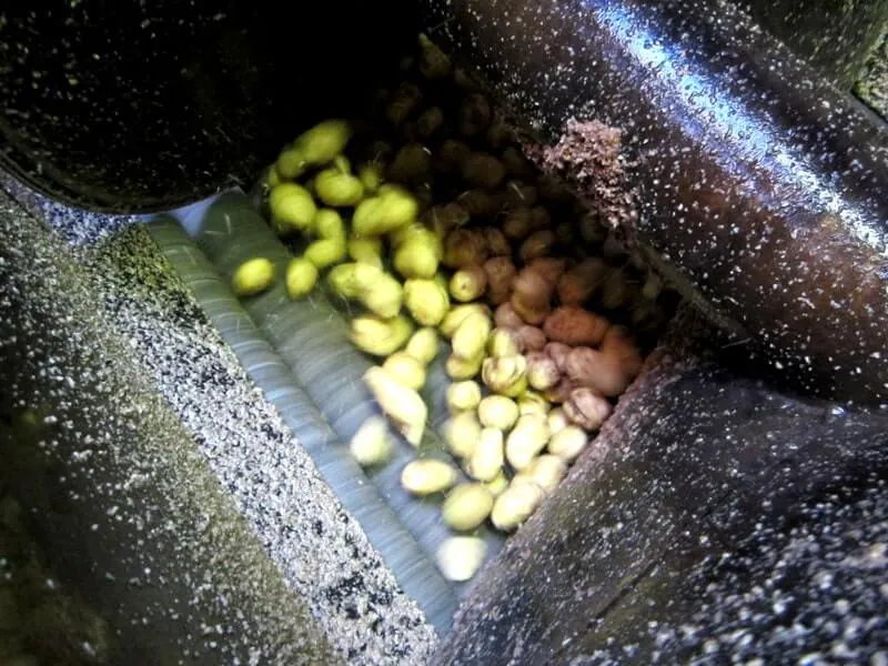 Éplucheuse à rouleaux abrasifs